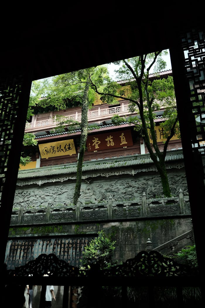 pexels photo 32990895.jpeg